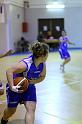 Basket 242047